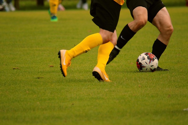 效力期间 效力期间