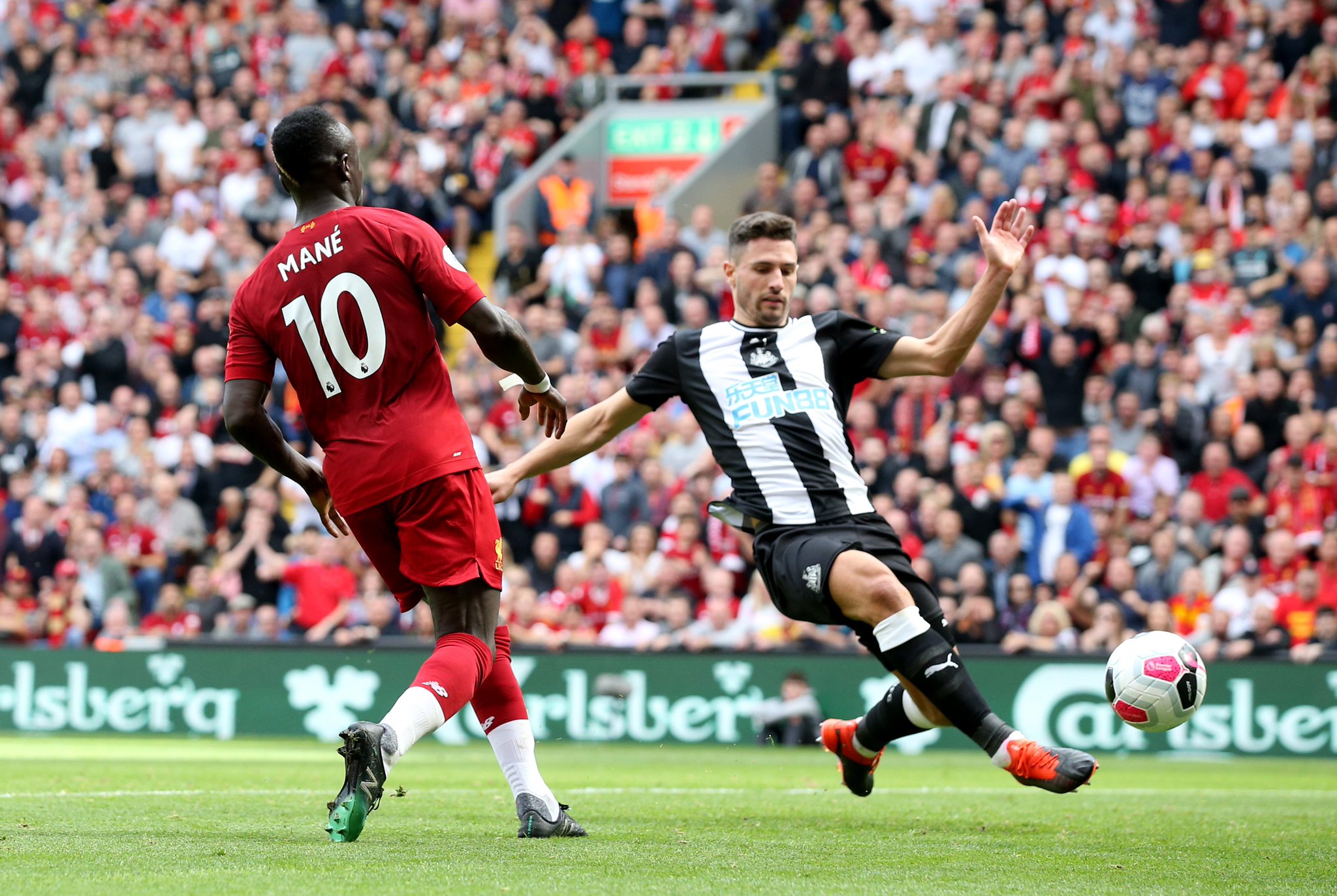 马克西莫维 马克西莫维